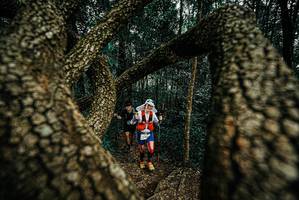 BIB: 
                            <button type="button" onclick="openModal(25674154)" class="btn btn-primary btn-sm float-right btn-popup" data-toggle="modal" data-target=".modal-high-quality">
                        <i class="fas fa-shopping-cart"></i> Add to Cart
                    </button>
                                            <button type="button" onclick="isThisMe(25674154, true)" class="btn btn-success btn-sm float-right btn-popup btn-isme hidden" data-toggle="tooltip" data-placement="bottom" title="นี่คือรูปของคุณใช่ไหม คลิกที่นี่เพื่อเอาเข้าอัลบั้ม">
                        <i class="fas fa-plus"></i> Add to album
                    </button>
                    <button type="button" onclick="isThisMe(25674154, false)" class="btn btn-warning btn-sm float-right btn-popup btn-isnotme hidden">
                        <i class="fas fa-ban"></i> Remove from album
                    </button>